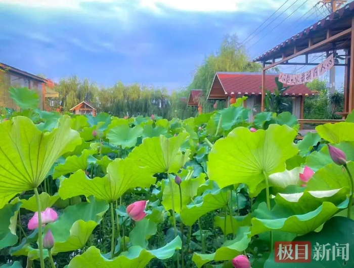 微信图片_2026-06-15_095424_271 微信图片_2026-06-15_095424_271