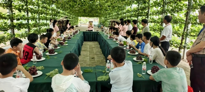 微信图片_2026-08-18_150341_292 微信图片_2026-08-18_150341_292