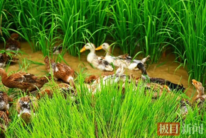 微信图片_2026-08-25_165632_122